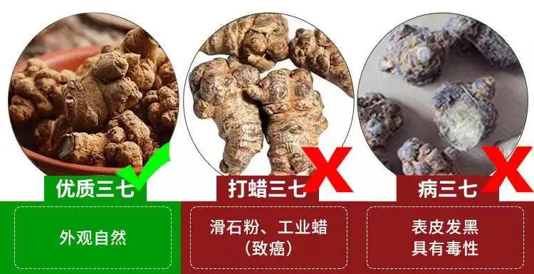 真假三七鉴别
