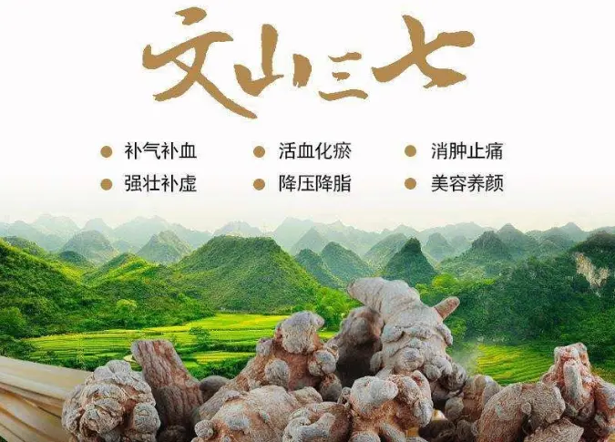 文山三七品质检验检测报告与皂苷泡沫