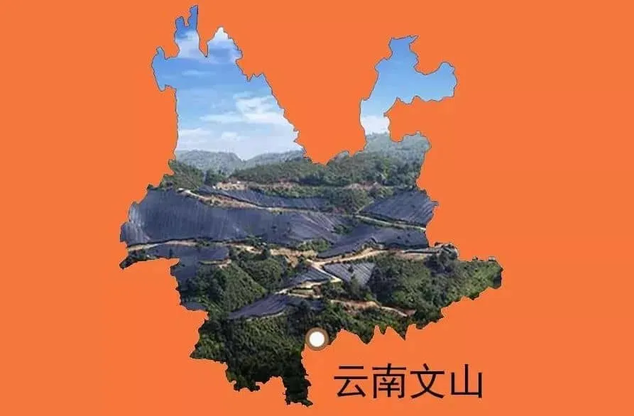 红土地种植环境
