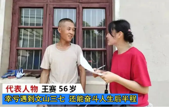 三七调理效果真实反馈