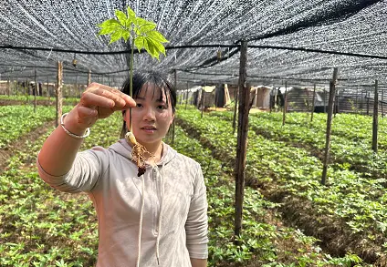 身体年轻通畅